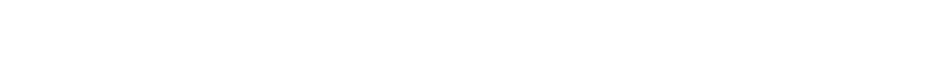 The New Brand